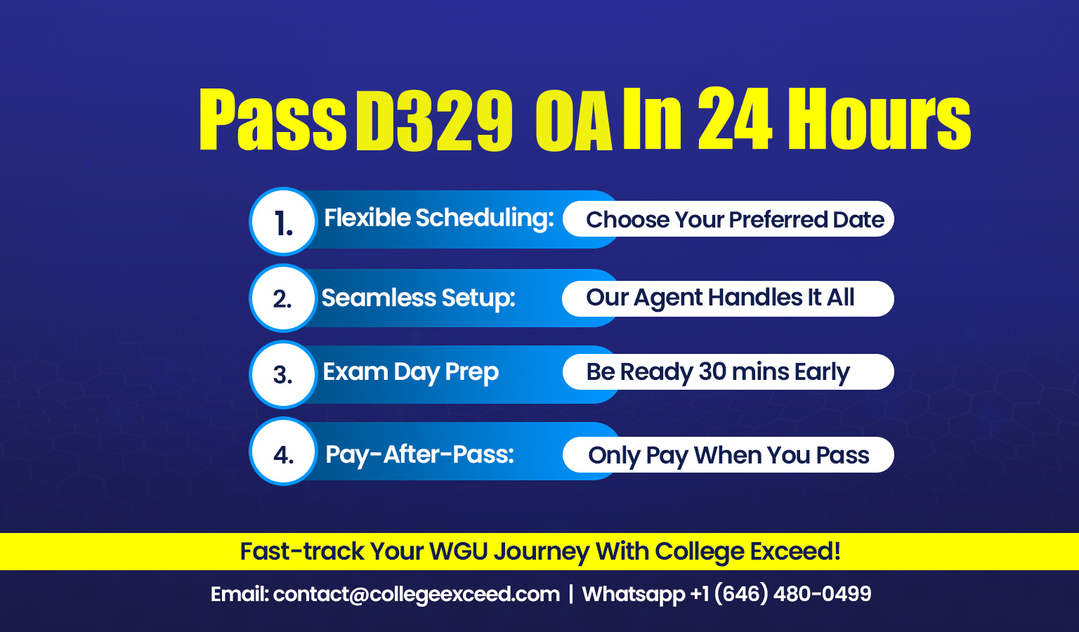 WGU D329